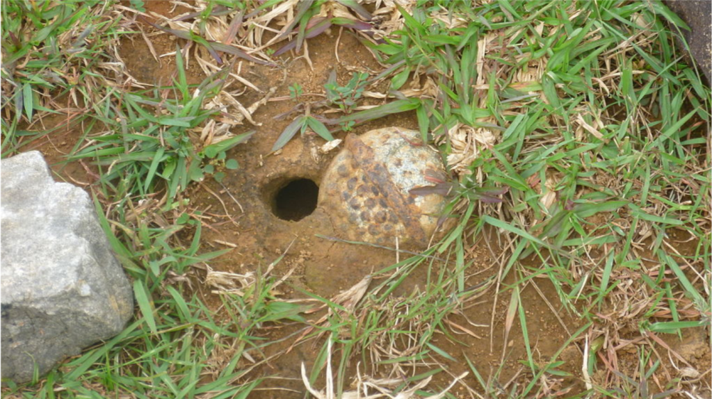 En ueksplodert klasebombe begravd i jorda i Laos, fra krigen på 1960- og -70-tallet.